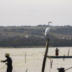 Seguro-Defeso: Gestão Transferida...