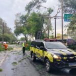 Equipes da Prefeitura...