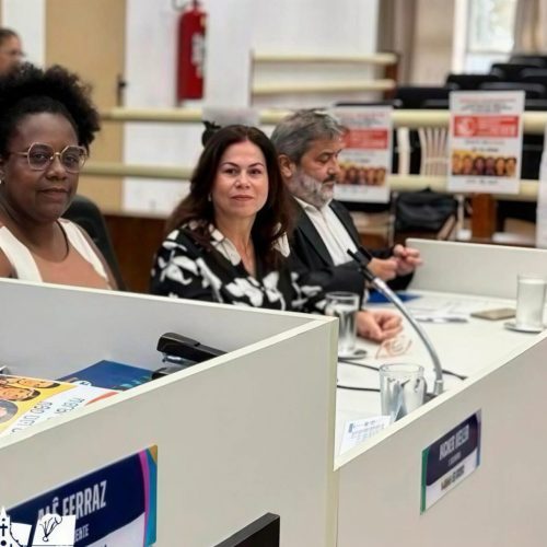 A Audiência atende ao requerimento da vereadora Gilsa Santos (PT) - Foto ACS CMGV.jpg