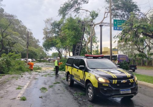 Imagem do WhatsApp de 2025-12-12 à(s) 18.36.16_9fc1aa6a