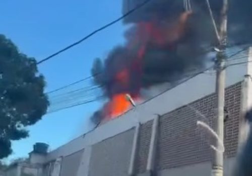 WhatsApp Image 2026-03-28 at 17.34.51