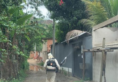 combate as arboviroses